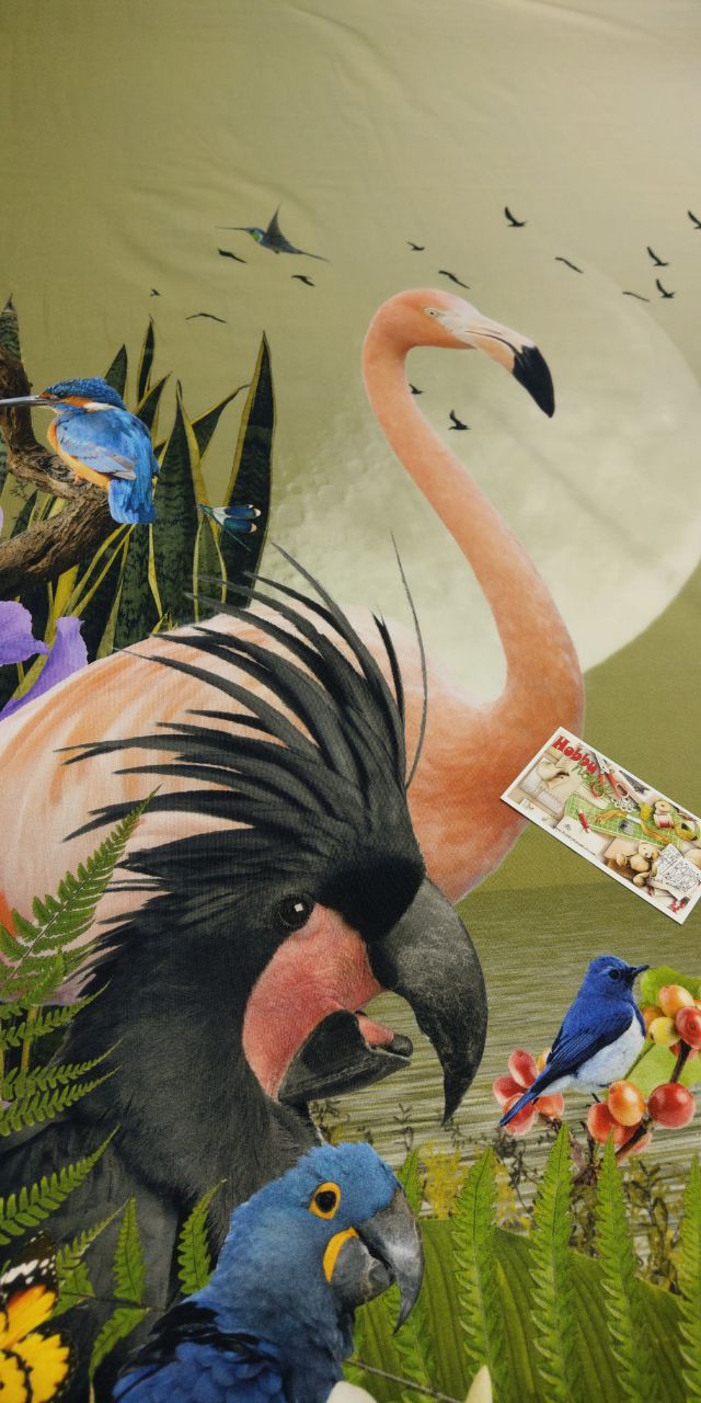 Стрейч-кулір "Фламінго" Нідерланди шир. 151, купон 124 см арт. 2143 - Зображення 3