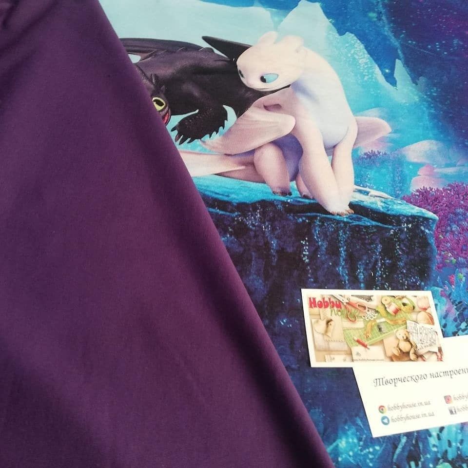 Стрейч-футер 2-нитка "Приборкувачі драконів" купон 60 см арт. 2252 - Зображення 4