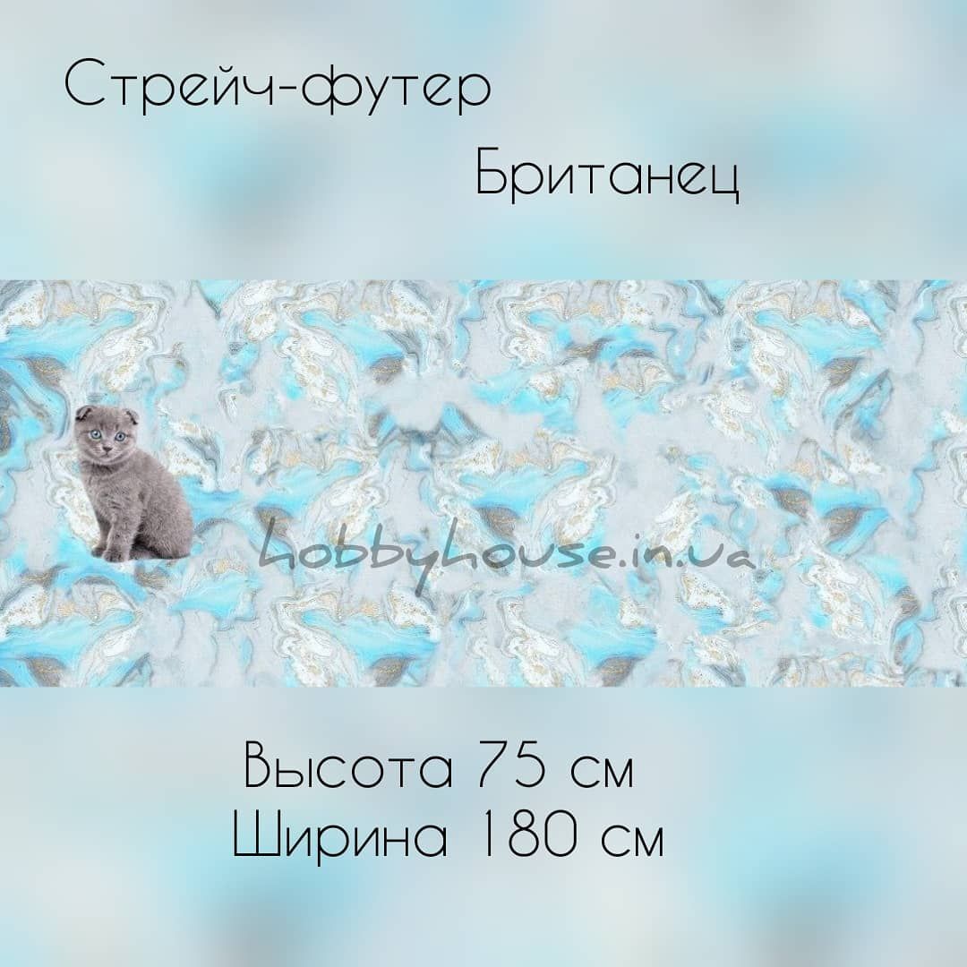 стрейч-футер 2-нитка "Британець" купон 75*180 см арт. 2517 - Зображення 3