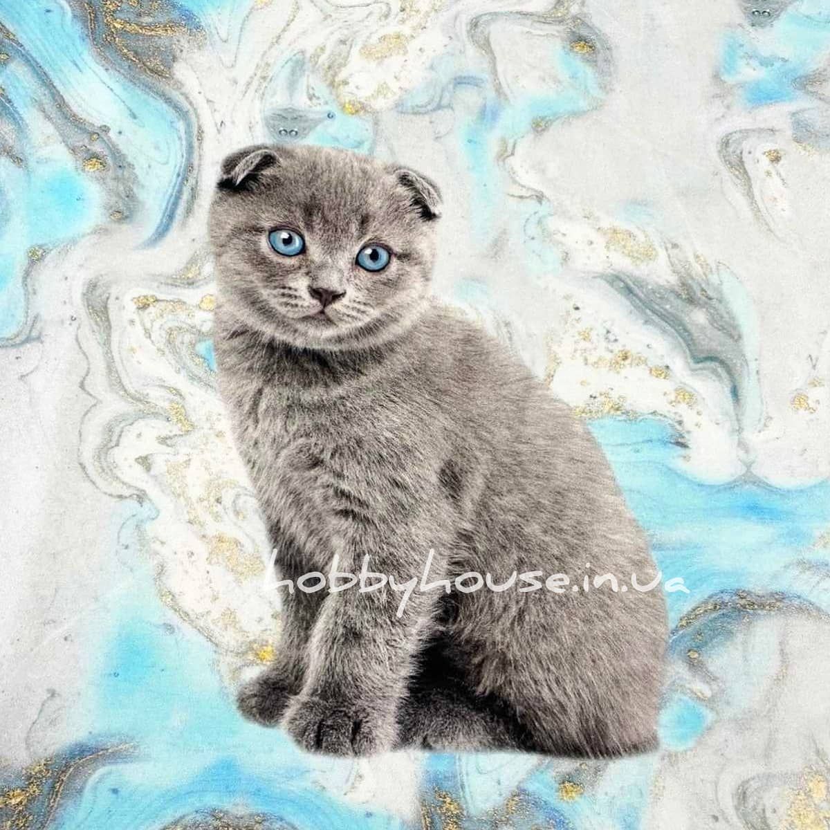 стрейч-футер 2-нитка "Британець" купон 75*180 см арт. 2517 - Зображення 2