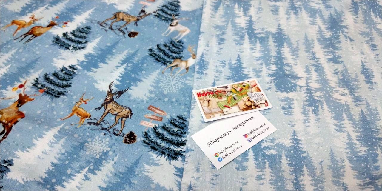 Футер 2-нитка "Зимній ліс", арт 2897