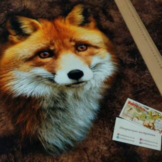 Стрейч-футер 2-нитка "Лисиця" купон 80 см (+-2 см) арт. 2986